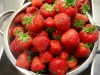 sam_5302