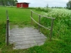 sam_5436