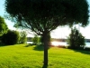 sam_5714