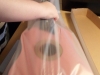 sam_8824