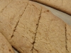 sam_8589