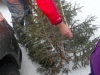 sam_9967