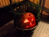 sam_9561