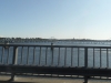 sam_8010