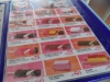sam_5948