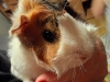 sam_9802