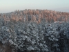 sam_9876