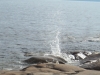 sam_6536