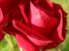 sam_7806