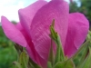 sam_7861