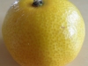 sam_8840