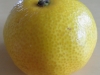 sam_8841