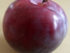 sam_8847