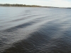 sam_8483