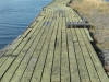 sam_8484
