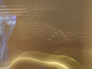SAM_0440