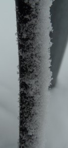 frost