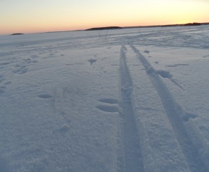 magisk