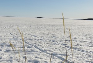 landskap